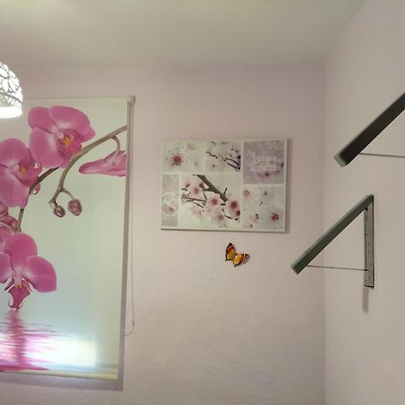 הוילה קואנקה La Casita De Ana. Puerta Valencia. Casco Antiguo מראה חיצוני תמונה