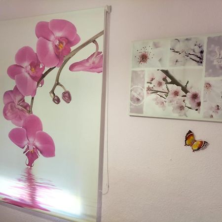 הוילה קואנקה La Casita De Ana. Puerta Valencia. Casco Antiguo מראה חיצוני תמונה