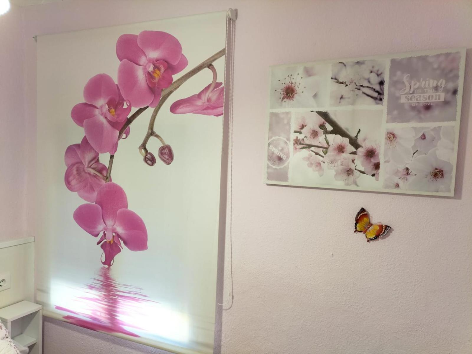 הוילה קואנקה La Casita De Ana. Puerta Valencia. Casco Antiguo מראה חיצוני תמונה
